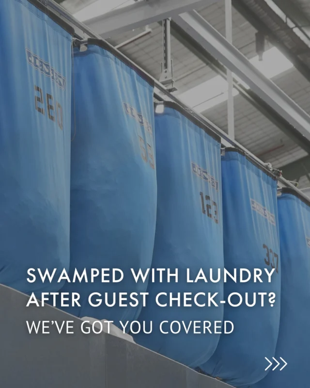 Raise your hand if you feel the laundry load after Guest checkout 🖐️ 🖐️ 🖐️ 

We've got you covered. Say goodbye to endless laundry and hello to more time spent on Hosting. 

Why Property Managers love Linen Hub:
🕐 Save hours every week on laundry
🛏️ Keep guests happy with fresh premium linen 
💰 Reduce laundry costs and energy usage
🚗 Flexible options that fit your schedule

No matter how big or small your portfolio is, we've got your linen covered so you can focus on what matters most - elevating the guest experience for increased bookings.

Fresh, effortless and on your terms. 

#Airbnb #Linen #Australia #LinenHire