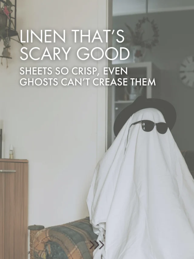 Hosting this Halloween weekend? 🎃 
Don’t let spooky sheets haunt your guest reviews. 

Our linen keeps your Airbnb BOO-tiful, fresh, folded, and fright-free. 👻 Choose from Self Serve, Click & Collect/Deliver. Three convenient ways to access high quality linen hire.

Book now to avoid last minute linen nightmares.

#Halloween #Airbnb #Linen #Spooky #Holiday #Australia